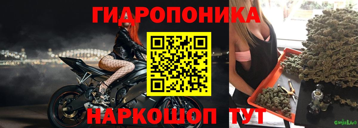 Красный Сулин  Марихуана планчик  Конопля OG Kush  Марихуана гибрид  Канабис AK-47  Вход с VPN 